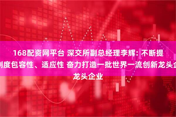 168配资网平台 深交所副总经理李辉: 不断提高制度包容性、适应性 奋力打造一批世界一流创新龙头企业